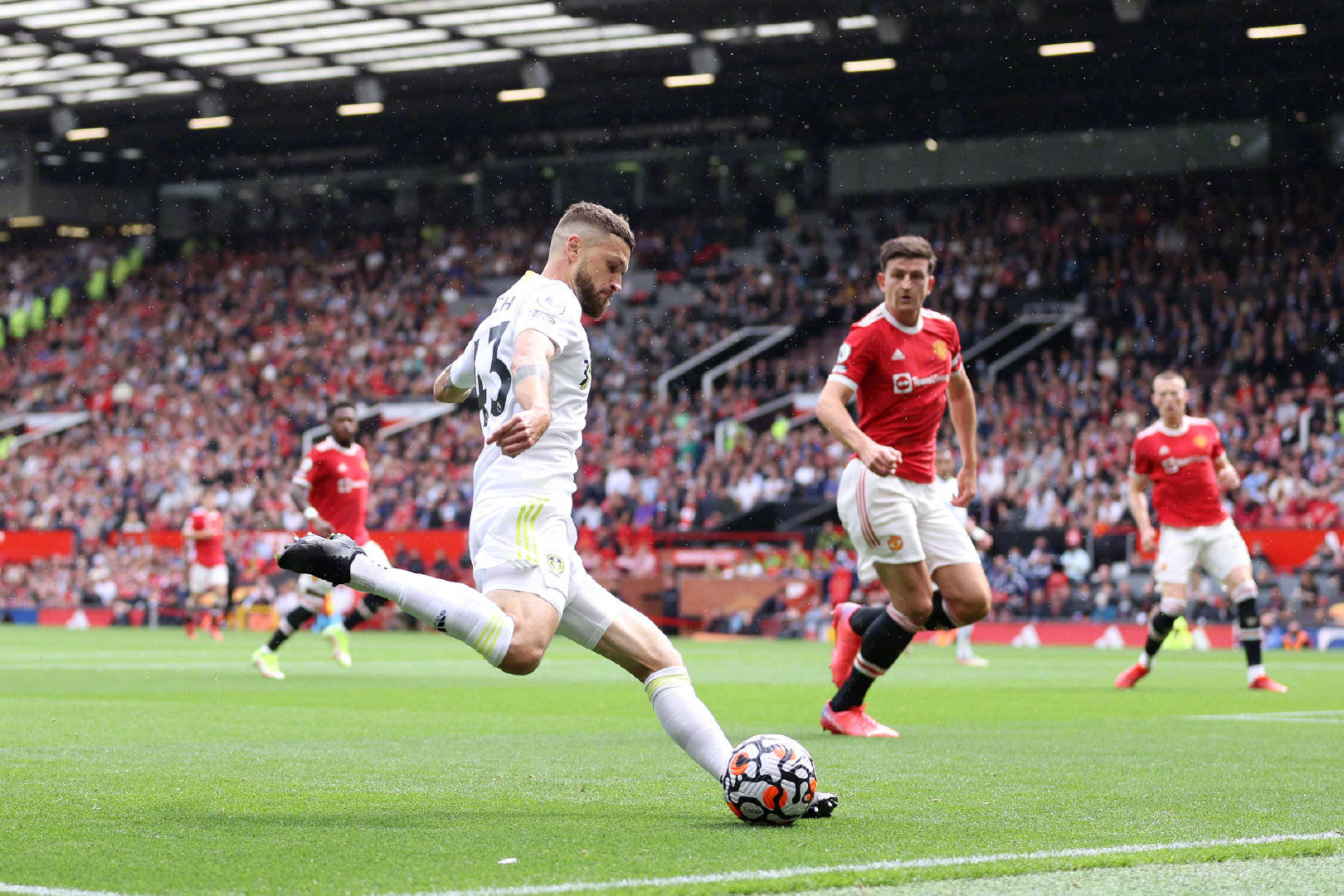 了更多的兴 了更多的兴